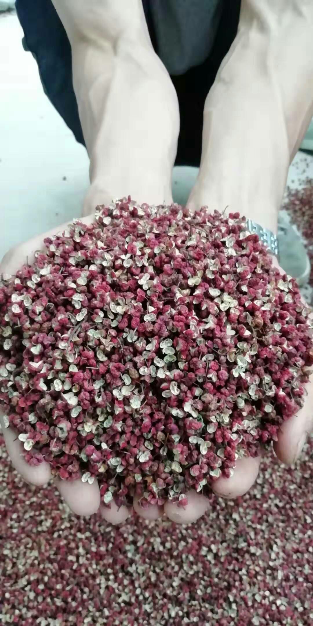 川椒 一级 干花椒