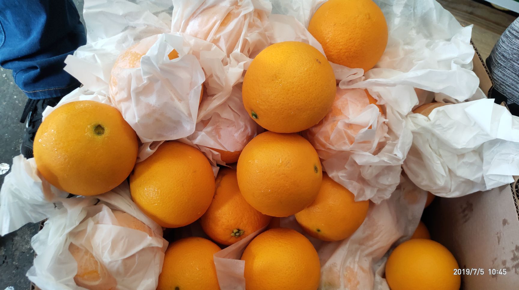  澳洲脐橙，新货供应，一手货源，规格齐全，质量保证