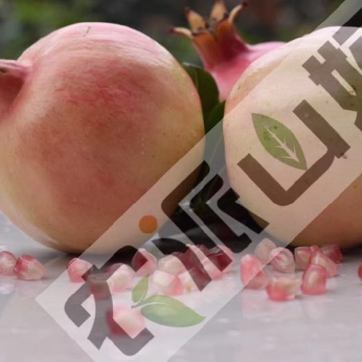 蒙自市 蒙自石榴小果可榨汁等量大从优自家种植品质保证