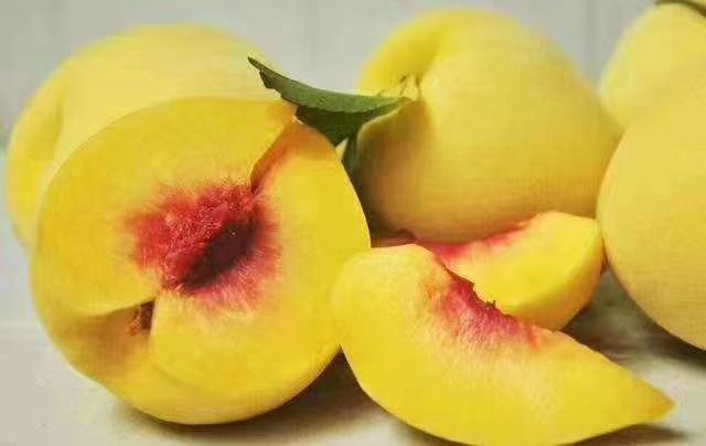 桂东县 桂东高山黄桃，果径55mm以上， 十斤装约18至22个每箱
