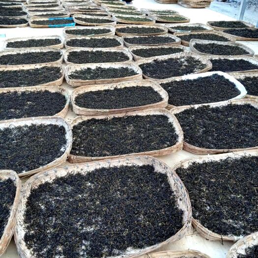普洱生茶 生茶38一斤，熟普茶饼3年古树98一个饼