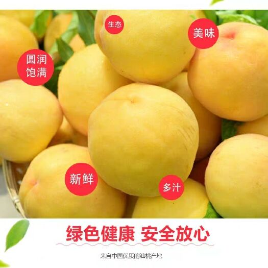 麻阳县 富硒黄桃