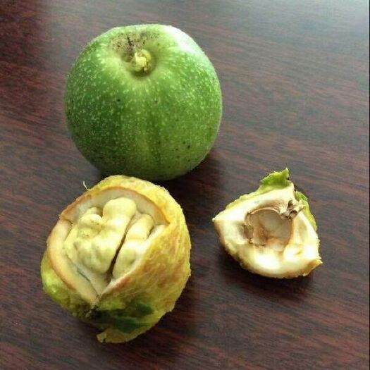 潼关县鲜核桃 自家产品，无农药，农家肥，皮薄肉多，