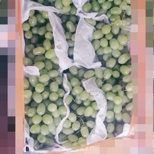 运城维多利亚葡萄 维多利亚