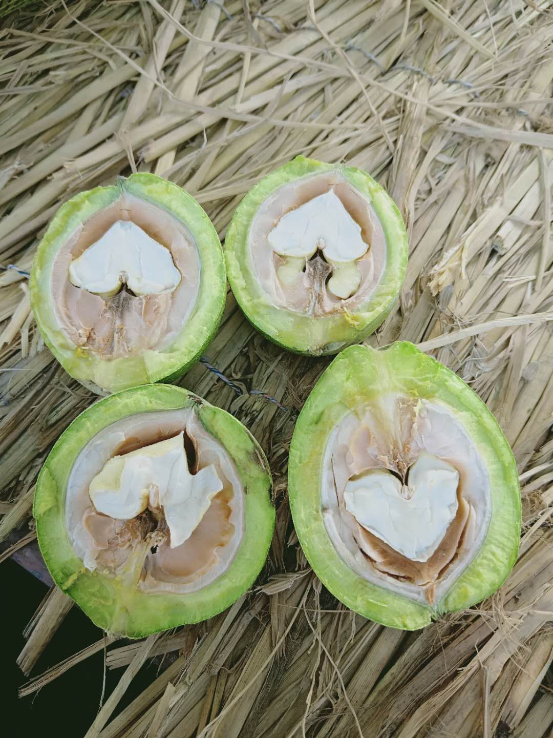  新疆薄青皮核桃