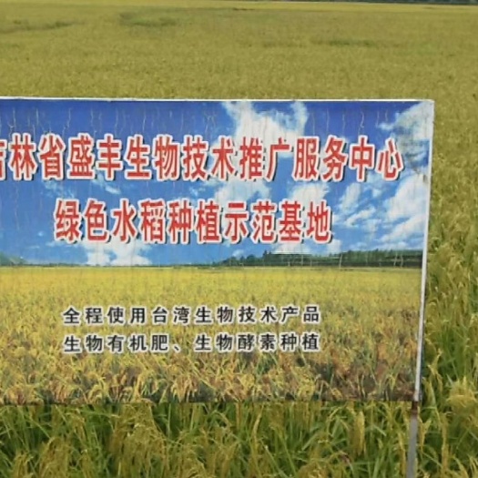 辉南县 产地直销火山岩生物酵素大米，口感好价格实惠，吃健康大米