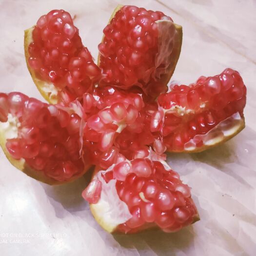 弥渡县 自然成熟突尼斯（软籽），红如意（软籽），会理（硬籽）石榴