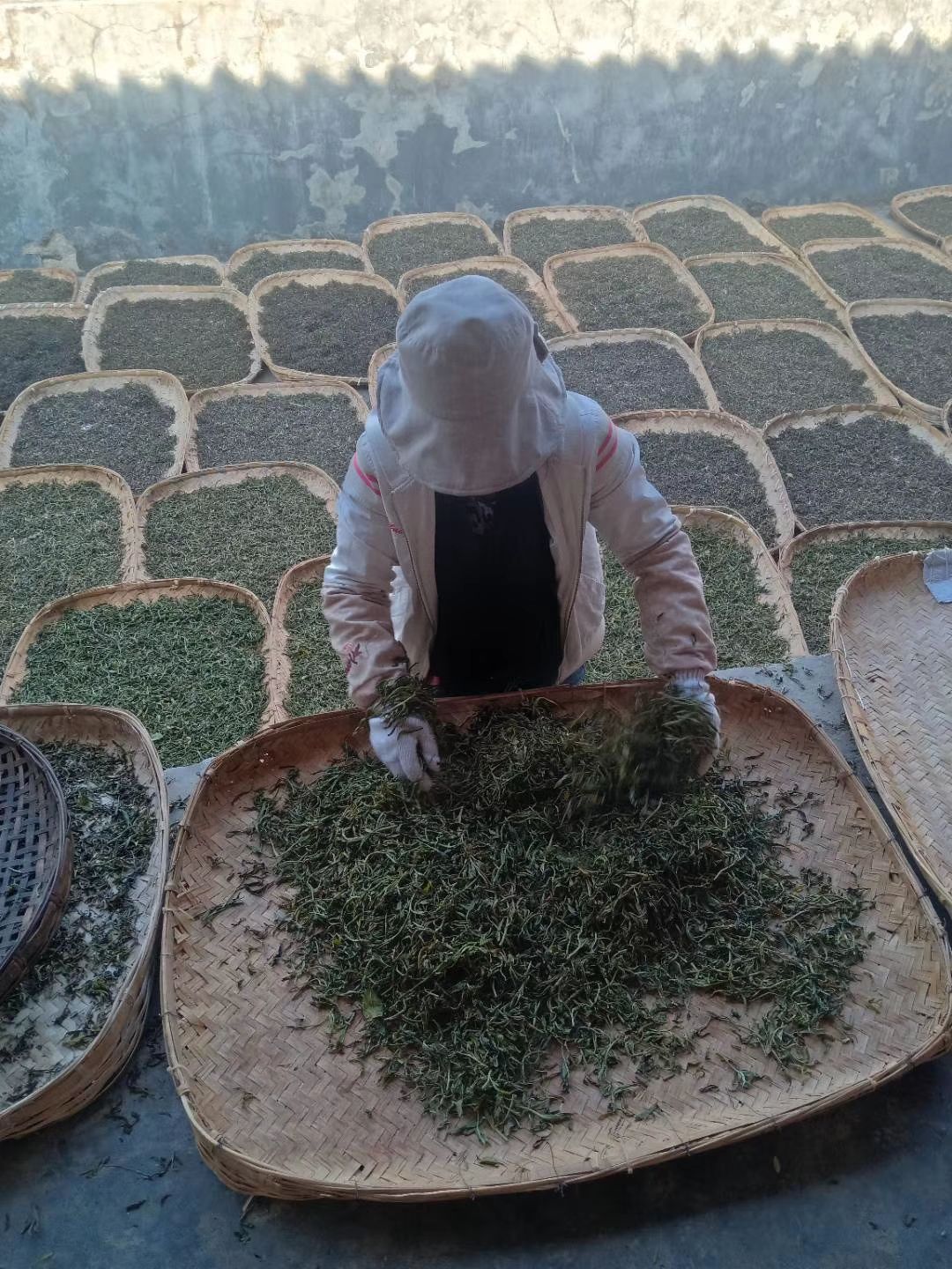 普洱茶砖 自产自销，每斤只赚两块钱，为家乡支柱产业寻找销路！