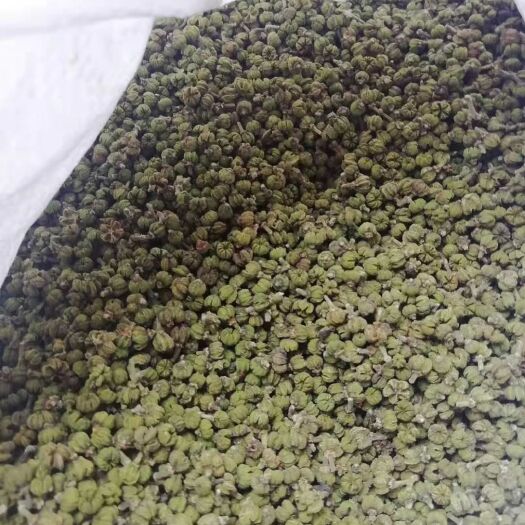罗城县 广西江西吴茱萸