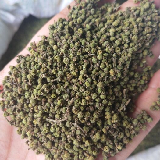 益阳吴茱萸 新品中花吴茱