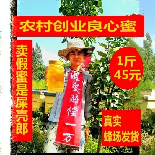 尚志市 农村深山森林纯蜂蜜天然农家自产野山花原蜜 真靠山屯蜂场直邮