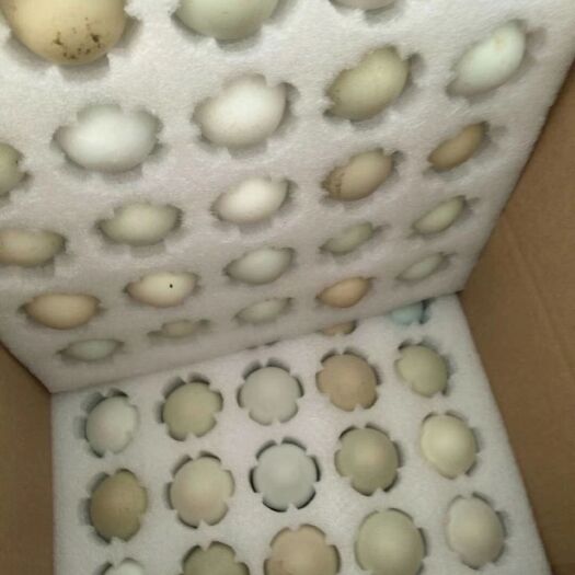 庐江县土鸡蛋 食用 箱装