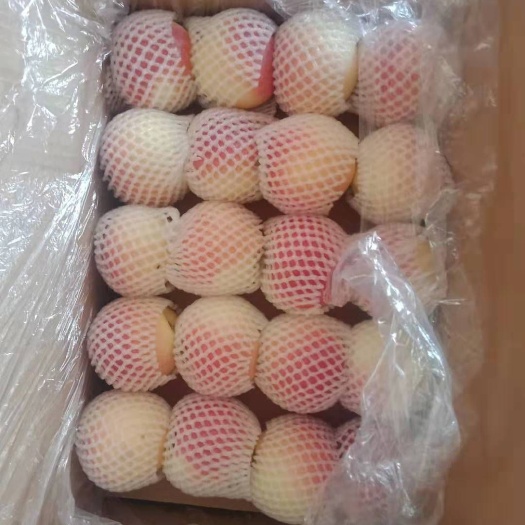 礼泉县嘎啦苹果 绿色食品，清脆可口，放心购买