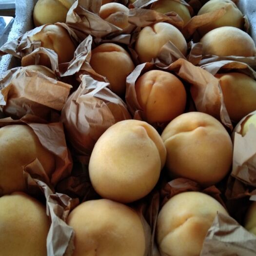 太仓市 自家做的锦绣黄桃，天然绿色食品