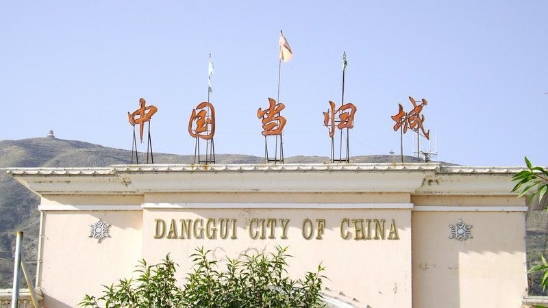 岷县岷当归 结果便宜，质量很好，自己家产