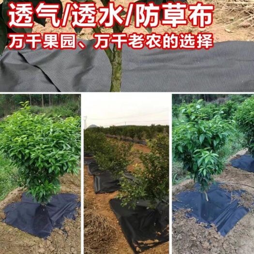 德州 切片防草布除草布地布果树生态地膜农用透气透水保湿盖草布遮草布