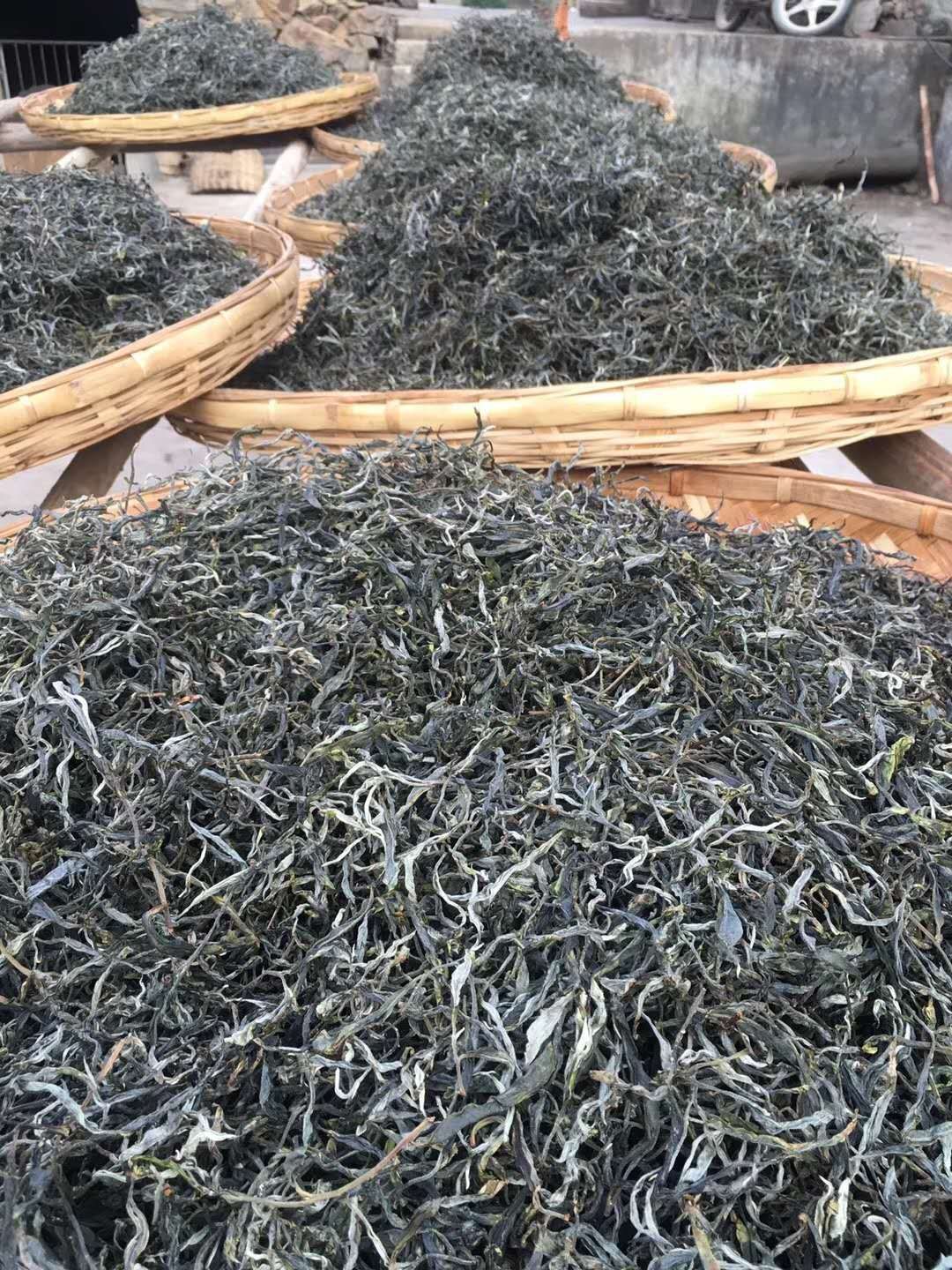 普洱茶砖 自产自销，每斤只赚两块钱，为家乡支柱产业寻找销路！