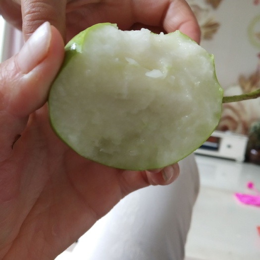 静宁县 静宁早酥梨需要的留言