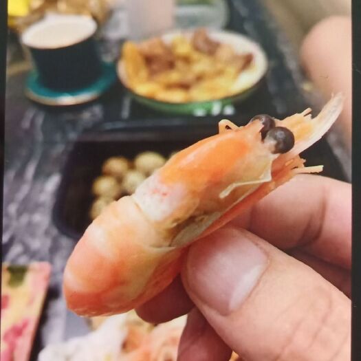北京北极虾 北极甜虾