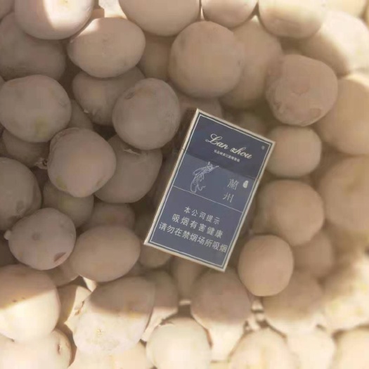 胶州市 销售大西洋土豆1两以下，2两一4两。网袋包装。
