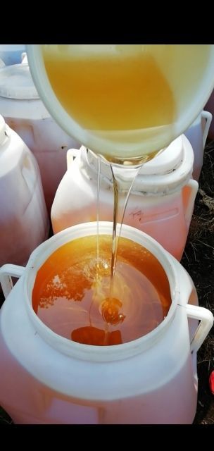 虎林市 原生椴树蜜 ％100纯蜂蜜  ≥41度