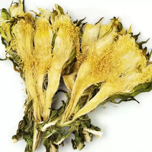 博罗县霸王花