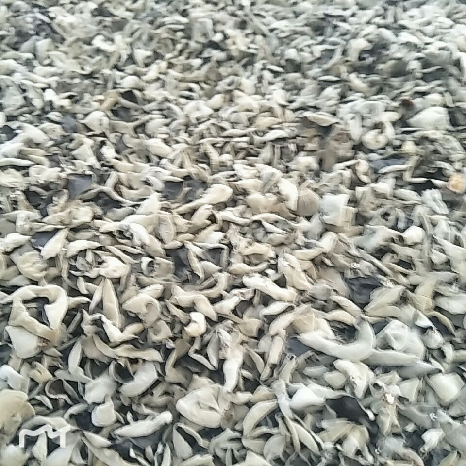  木耳之乡！正宗！东北黑木耳！