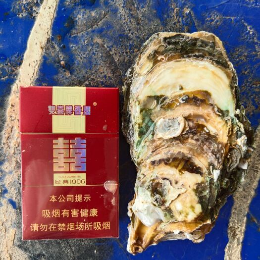 佛山 湛江生蚝牡蛎4-5两/只