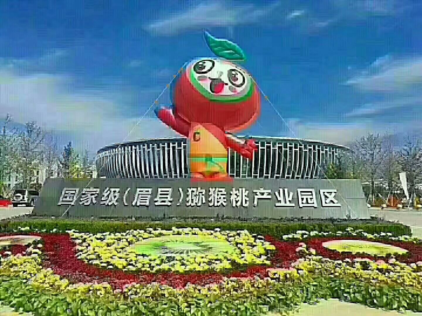  眉县徐香猕猴桃，酸酸甜甜刚刚好；原产地现摘现发舌尖上的美味