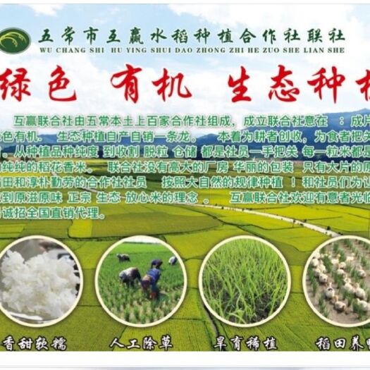 五常市有机米 健康米   您身份的象征您   不二的选择