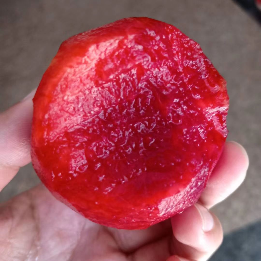 芙蓉李  一件50斤起批发供货古田果园直达送货上门2021年现货供应