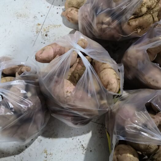 沂水县鲁薯19号红薯 鲁薯19号，两元，价格优惠，可小刀