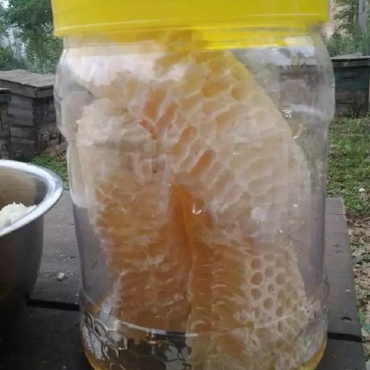 固阳县 优质的蜂蜜
自己家经营，没有大规模