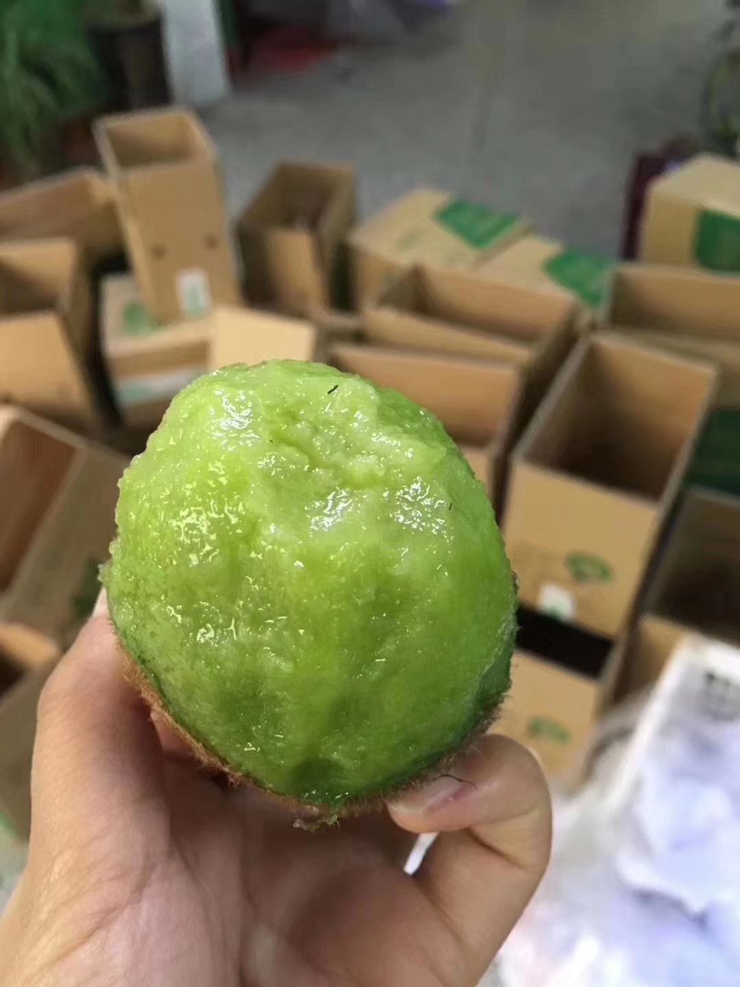 翠香猕猴桃 100~120克