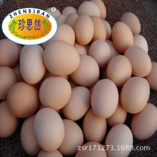 麻城市 优质土鸡蛋草鸡蛋乌鸡蛋青壳鸡蛋大量供应珍思然绿色农业特色货源