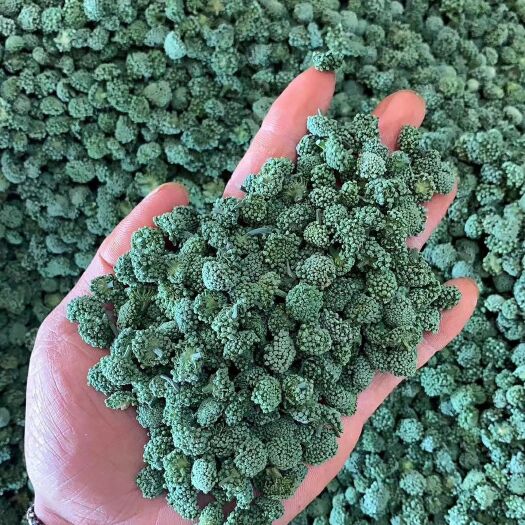 云南新货三七优质三七花145一斤包邮