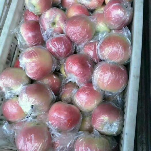 莘县美八苹果 上货美八嘎啦