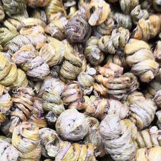 昆明 铁皮石斛