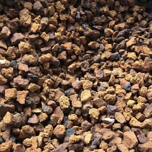 绥芬河市白桦茸  俄罗斯桦树榕