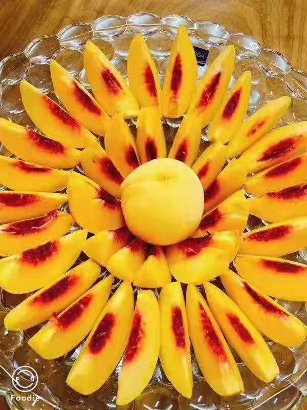 锦绣黄桃  炎陵黄桃，原产地高山黄桃