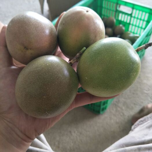凤山县 广西百香果新鲜一级果大个现摘现发