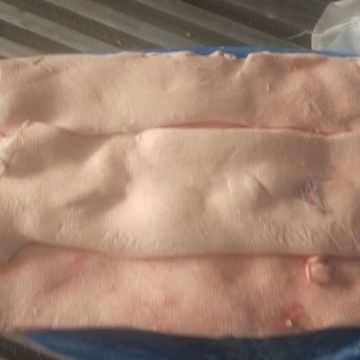 深圳肥肉 肥膘