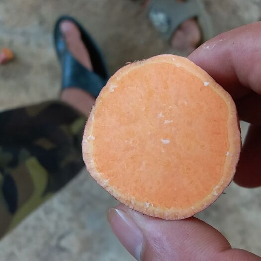 南宁 红薯大王