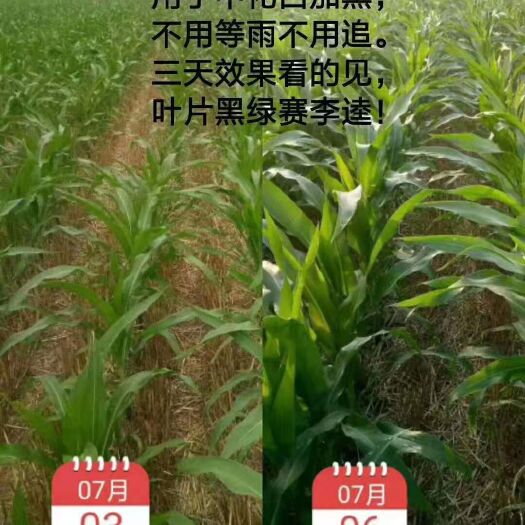 滑县液体肥料