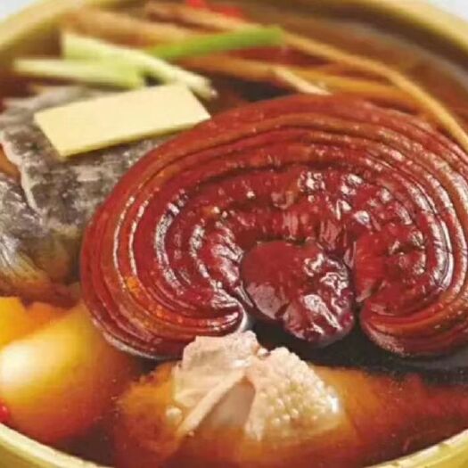 长沙县 鲜灵芝