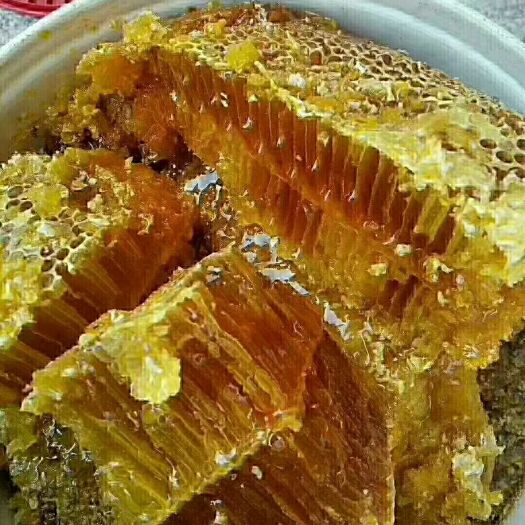 瑞丽市 缅甸纯野 生大挂蜂蜜