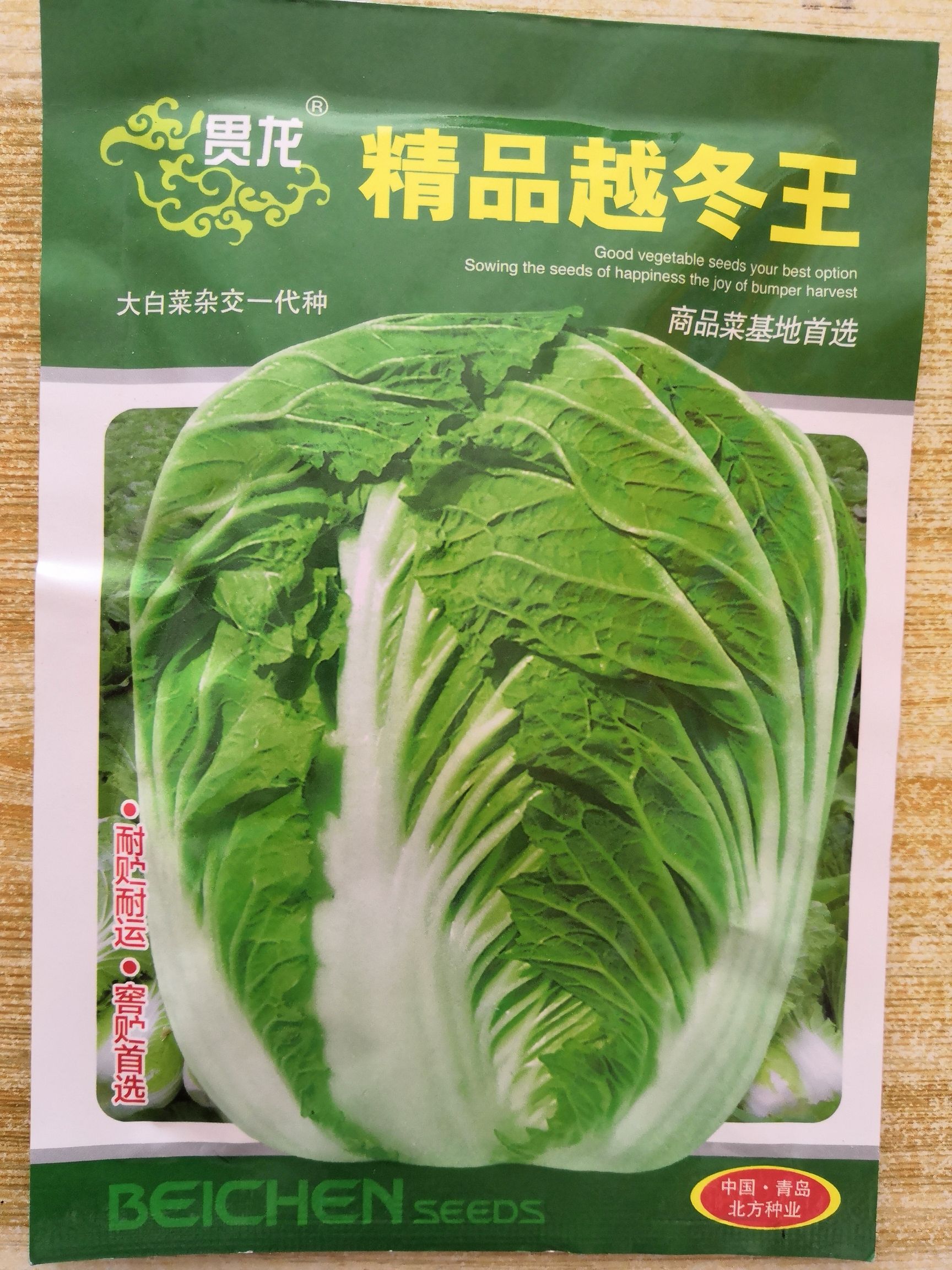  精品越冬王白菜种子 菜青耐贮存