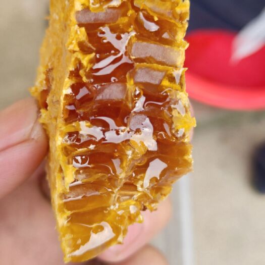 长阳县 神农架土蜂蜜