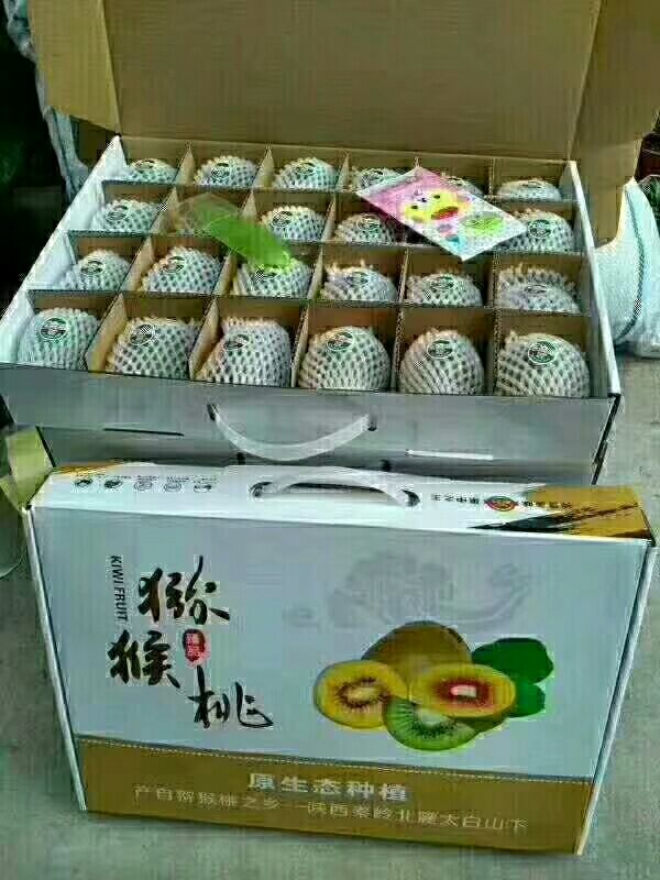 眉县徐香猕猴桃，酸酸甜甜刚刚好；原产地现摘现发舌尖上的美味