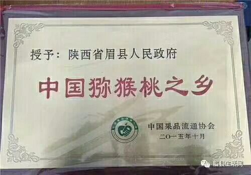  眉县徐香猕猴桃，酸酸甜甜刚刚好；原产地现摘现发舌尖上的美味